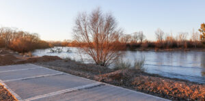 DEFENSA COSTANERA RÍO NEUQUÉN – SECTOR 1 C