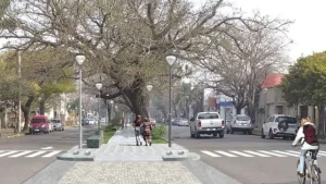 Se presentaron siete empresas para poner en valor la Avenida J. J. Paso