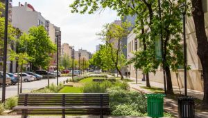 Se abren los sobres para una calle verde